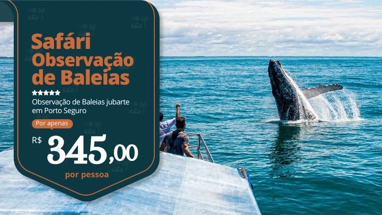 Saf&aacute;ri Observa&ccedil;&atilde;o das Baleias Jubarte
